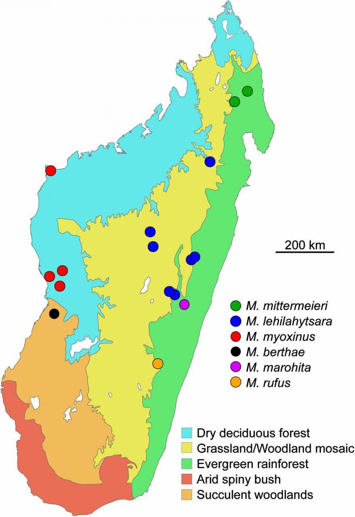 mapa de Madagascar selva