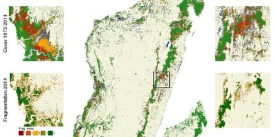Mapa de Madagascar, la desforestació