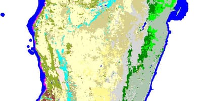 Mapa de Madagascar vegetació